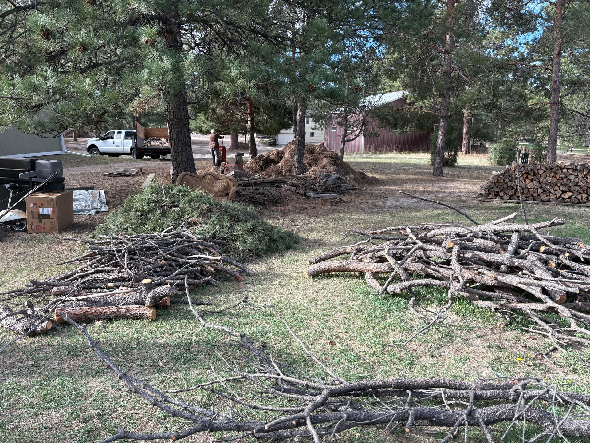 Branches, Logs, and Debris Hauled Away in Elizabeth Colorado image