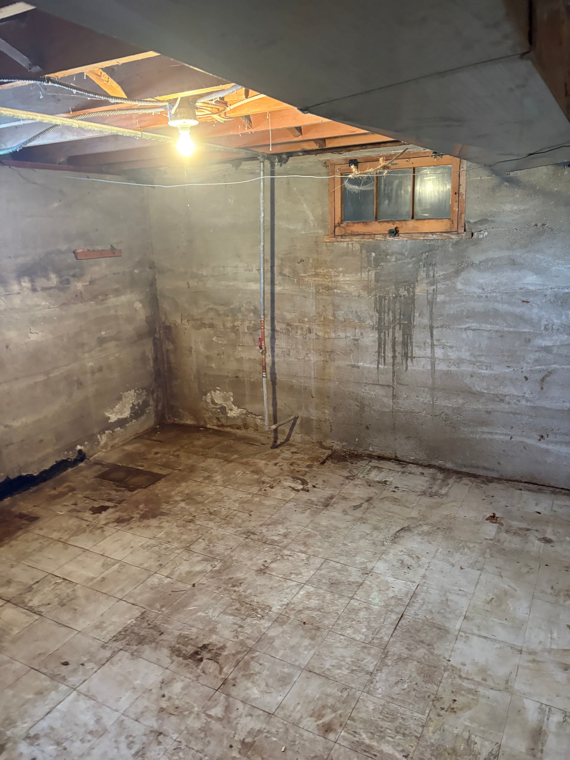 Gallery photos for Basement Clean-Out Made Simple: Image #1